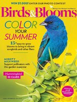Birds and Blooms Extra
